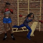 853-boxless.jpg