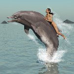 869-riderdolphin.jpg