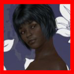665-nibloss.jpg