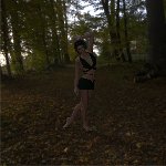 601-autumnforest.jpg